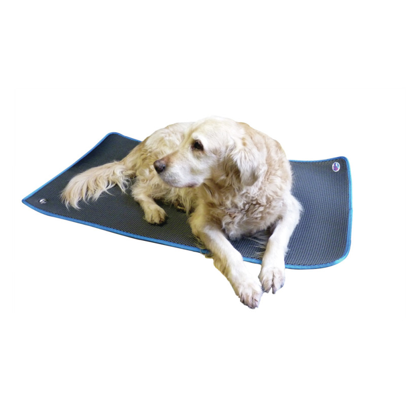 COSYPAD® 
NEUE GENERATION